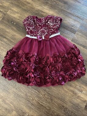 Nannette Burgundy Floral Rosette Tulle Party Dress Size 18M